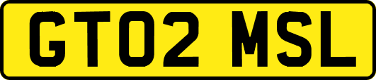 GT02MSL