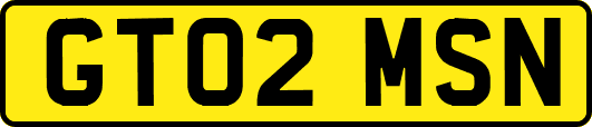 GT02MSN