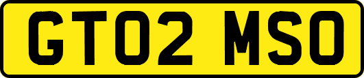 GT02MSO