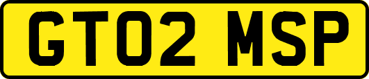 GT02MSP