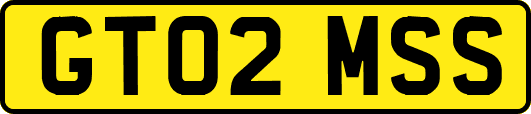 GT02MSS