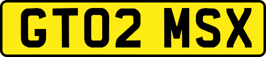 GT02MSX