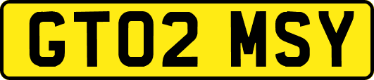 GT02MSY