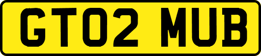 GT02MUB