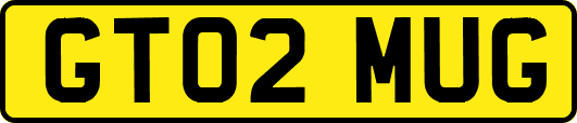 GT02MUG