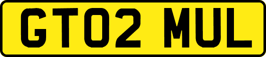 GT02MUL