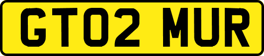 GT02MUR