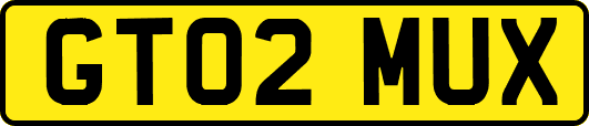 GT02MUX