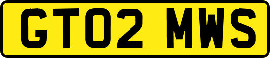 GT02MWS
