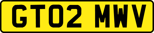 GT02MWV