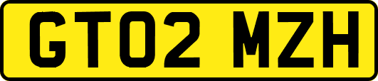 GT02MZH