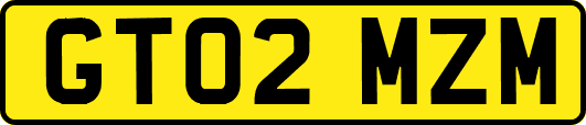GT02MZM