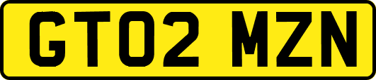 GT02MZN
