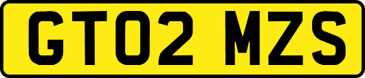 GT02MZS