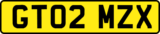GT02MZX