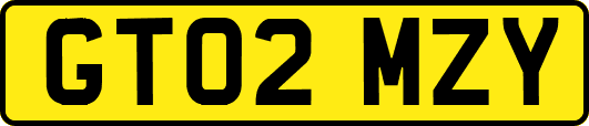 GT02MZY