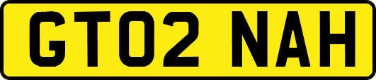 GT02NAH