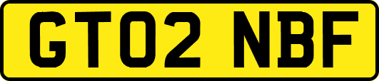 GT02NBF