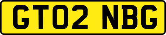 GT02NBG