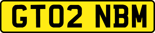 GT02NBM