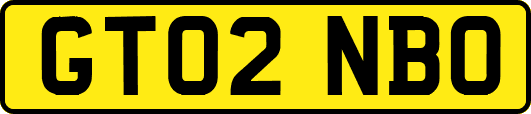 GT02NBO
