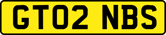 GT02NBS