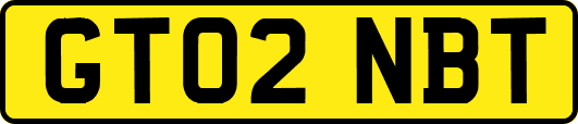 GT02NBT