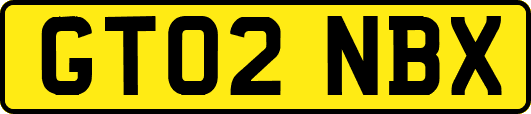 GT02NBX