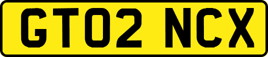 GT02NCX