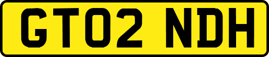 GT02NDH