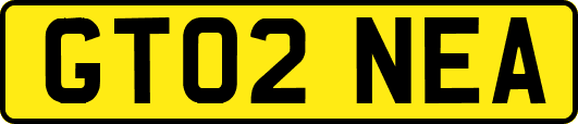 GT02NEA