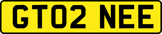 GT02NEE