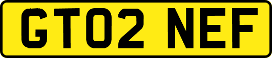 GT02NEF