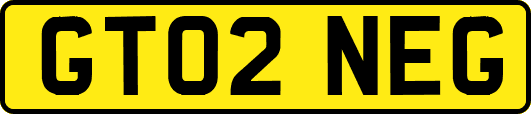 GT02NEG