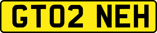 GT02NEH