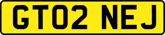 GT02NEJ