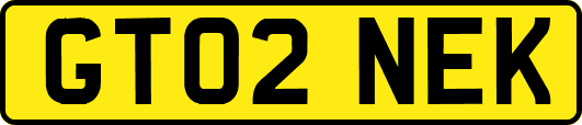 GT02NEK