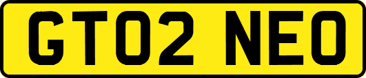GT02NEO