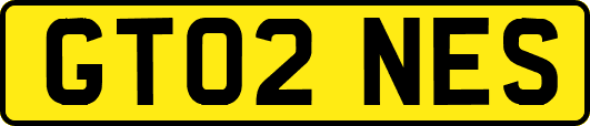 GT02NES