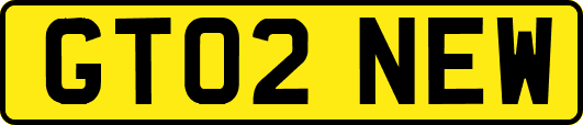 GT02NEW