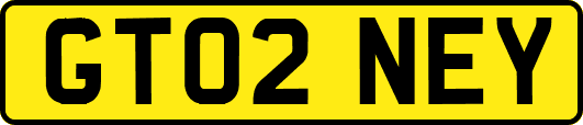 GT02NEY
