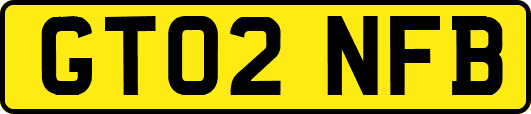 GT02NFB