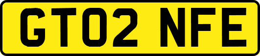 GT02NFE