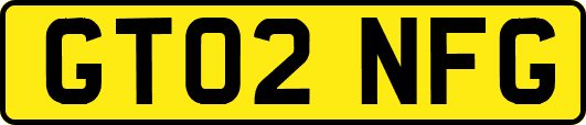 GT02NFG