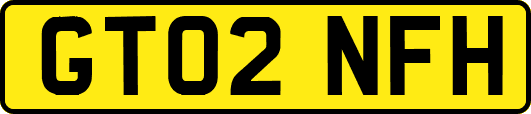 GT02NFH