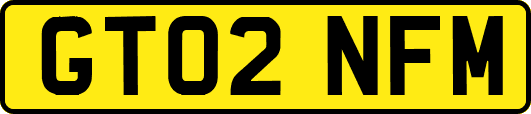 GT02NFM