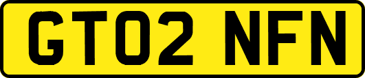 GT02NFN