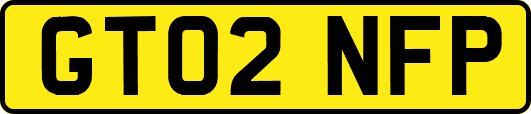 GT02NFP