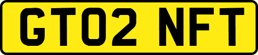 GT02NFT
