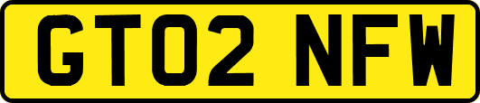 GT02NFW